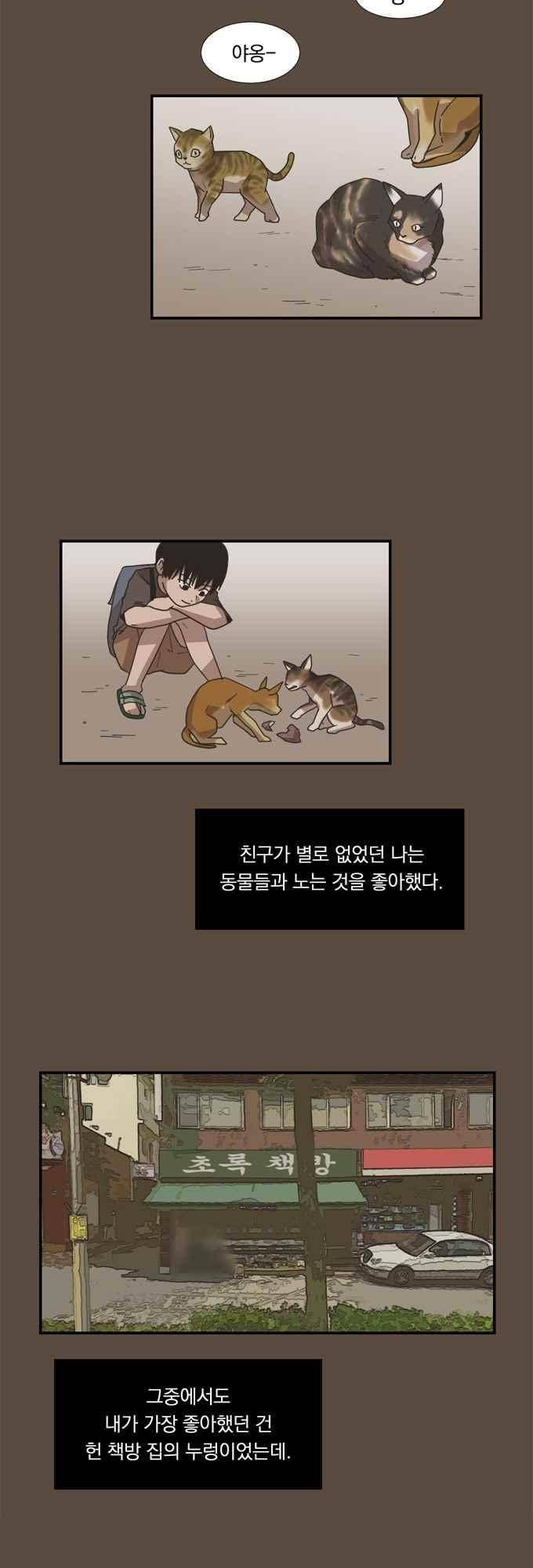 명예소녀의 추락 52화 15