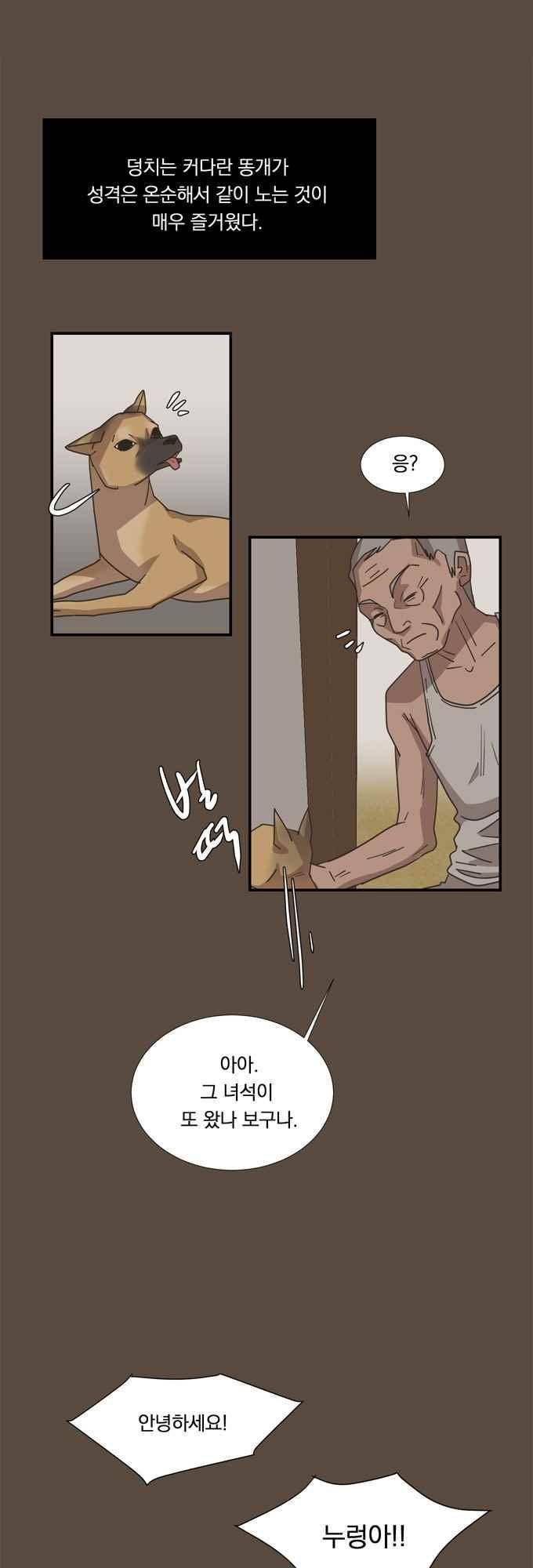 명예소녀의 추락 52화 16