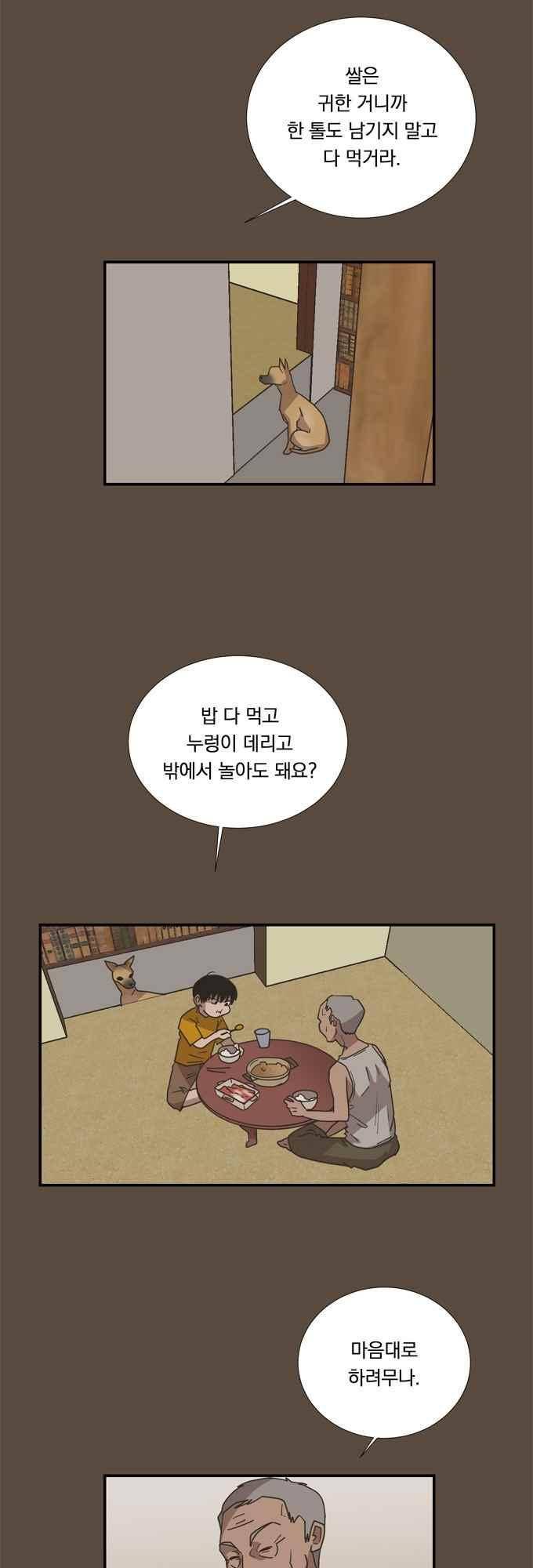 명예소녀의 추락 52화 19