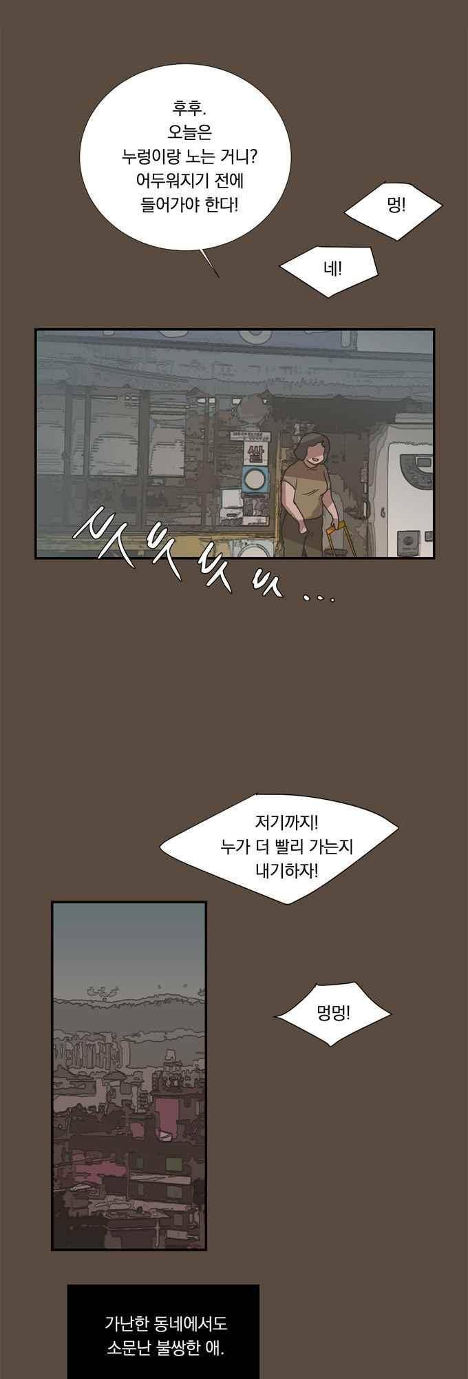 명예소녀의 추락 52화 21