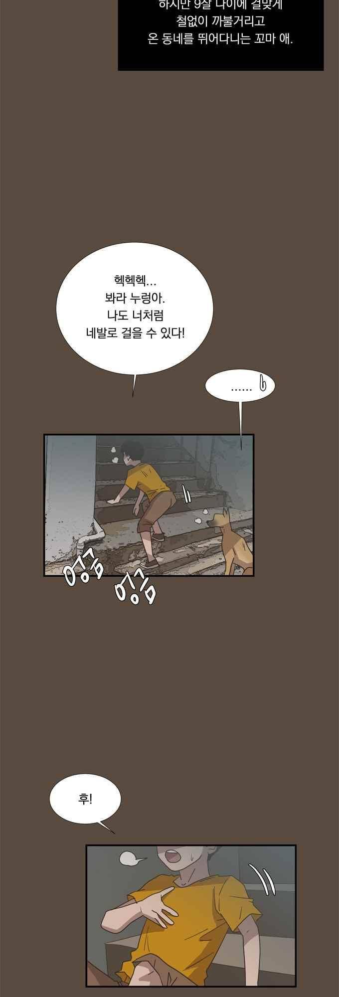 명예소녀의 추락 52화 23