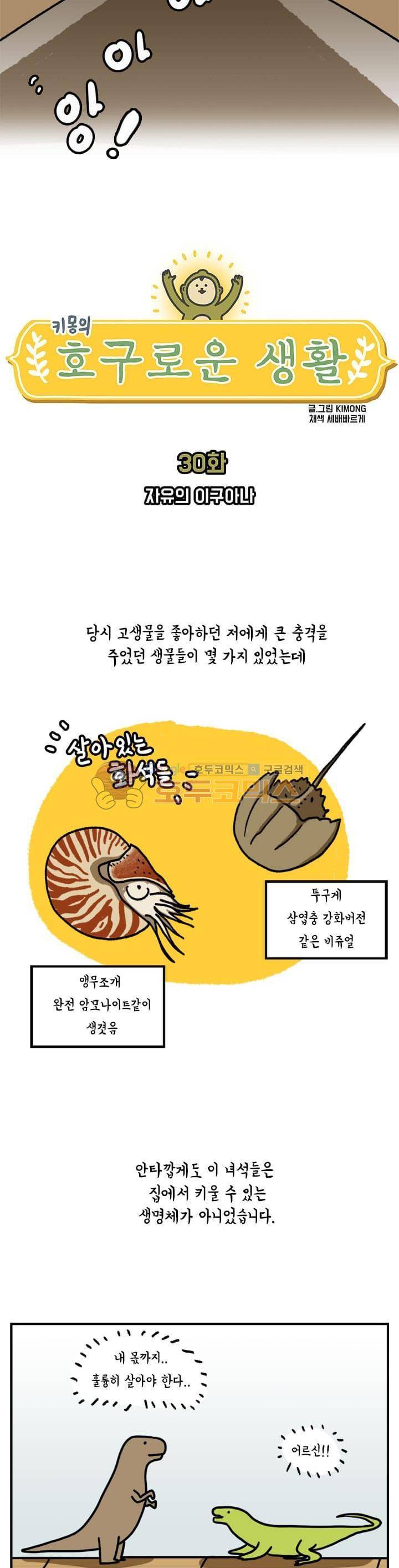 키몽의 호구로운 생활 30화 - 자유의 이구아나 4