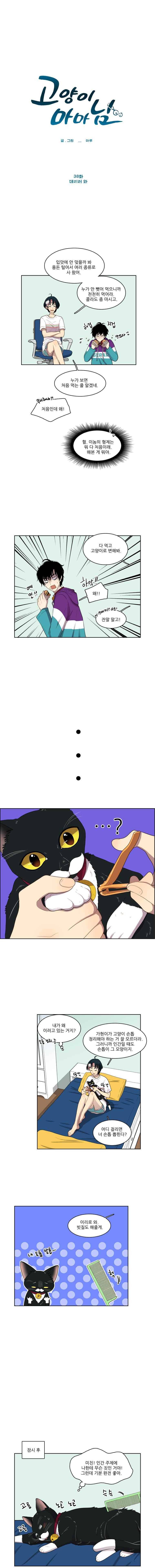 고양이 마마님 38화 2
