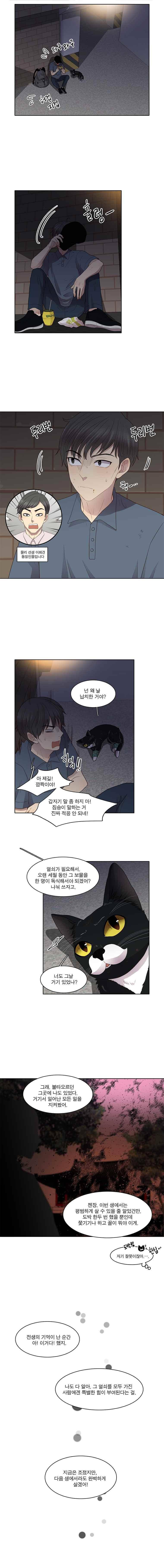 고양이 마마님 46화 6