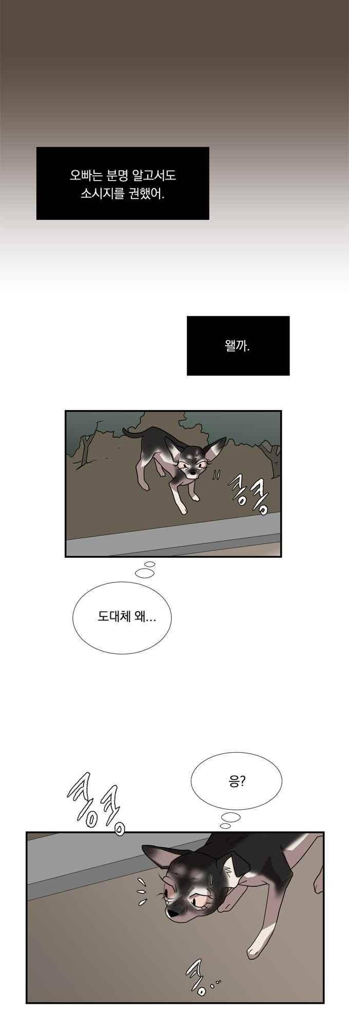 명예소녀의 추락 68화 5