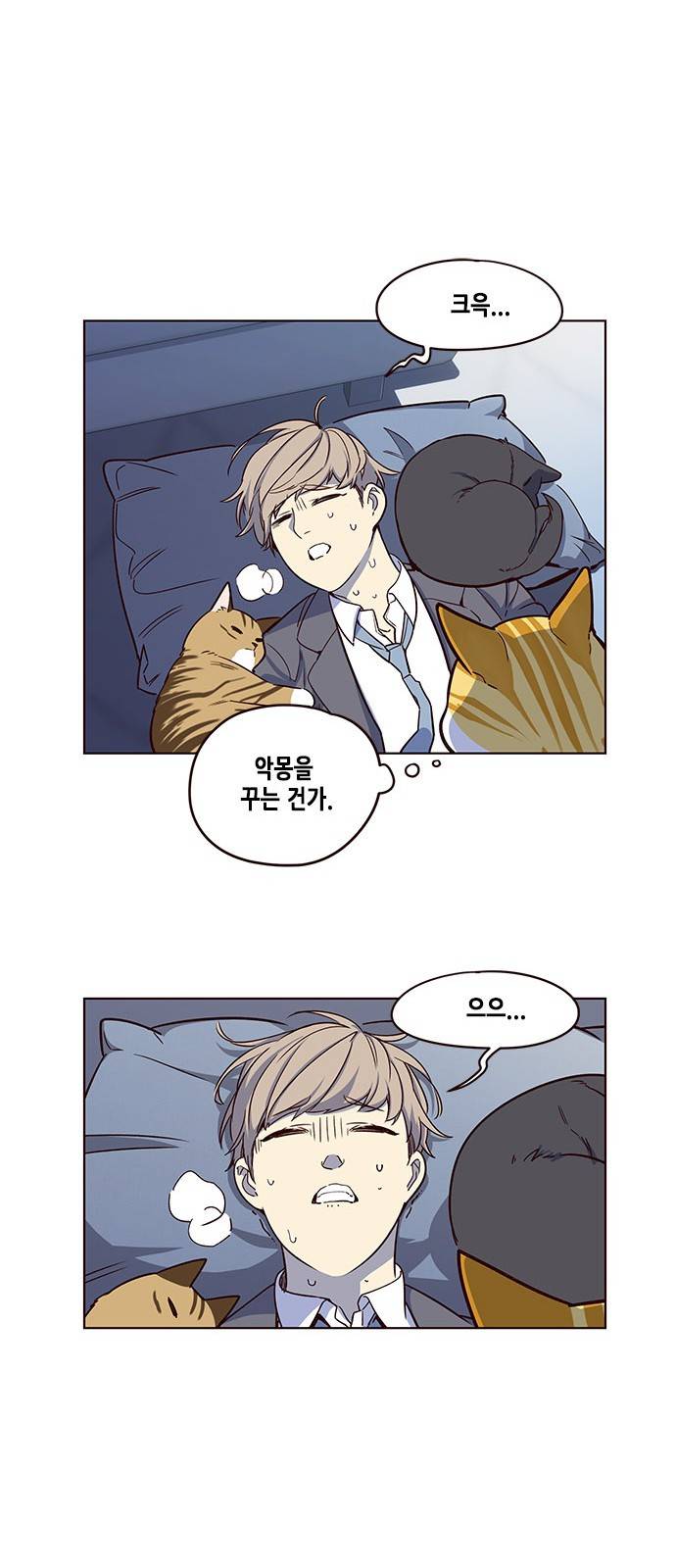 일렉시드 8화 24