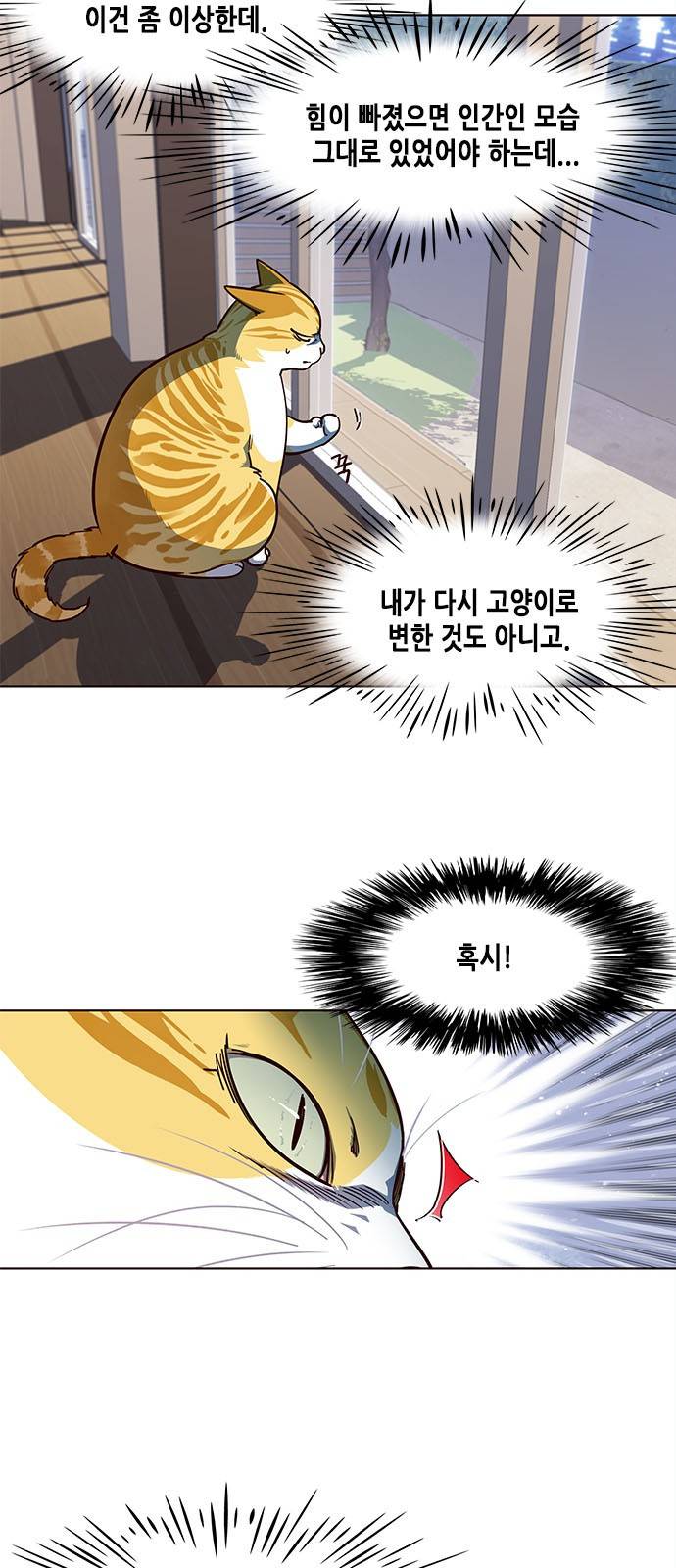 일렉시드 16화 11