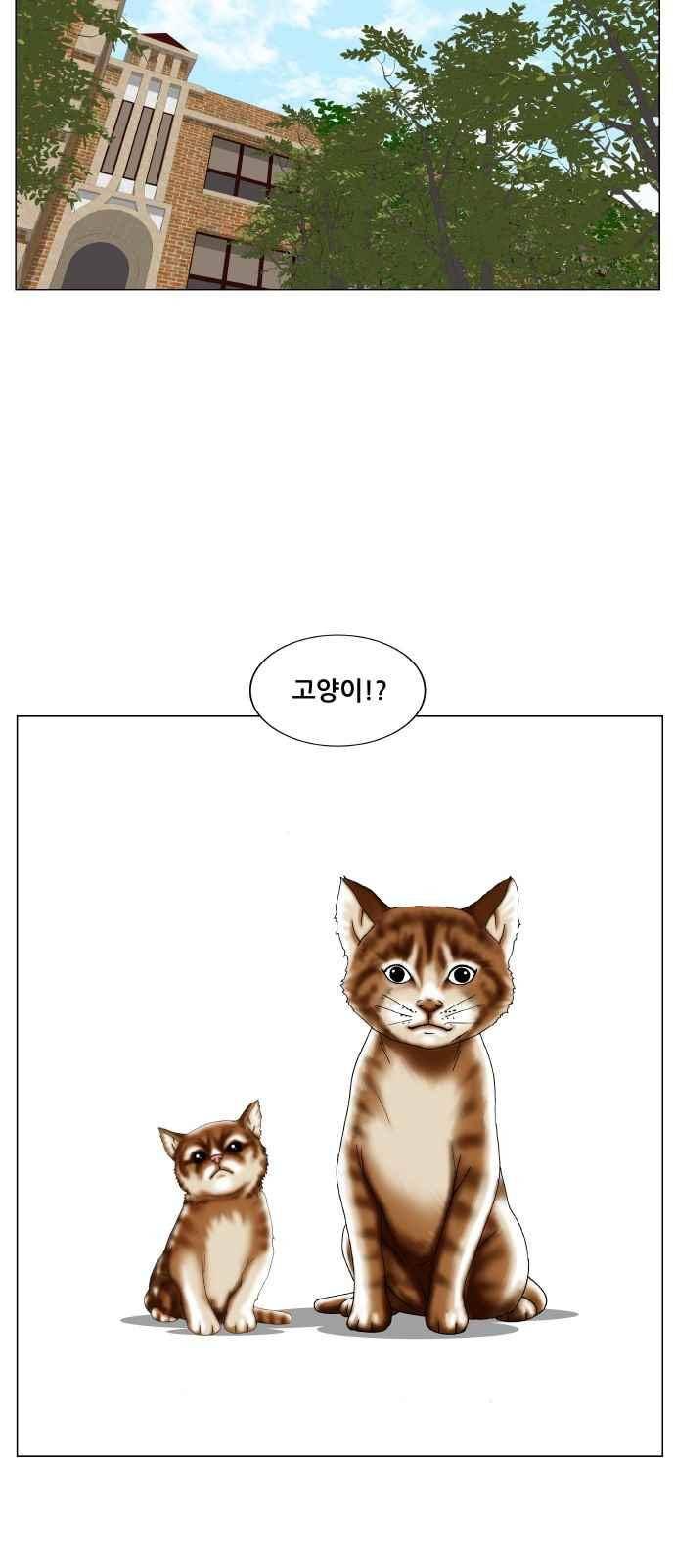 최강전설 강해효 (250) 17