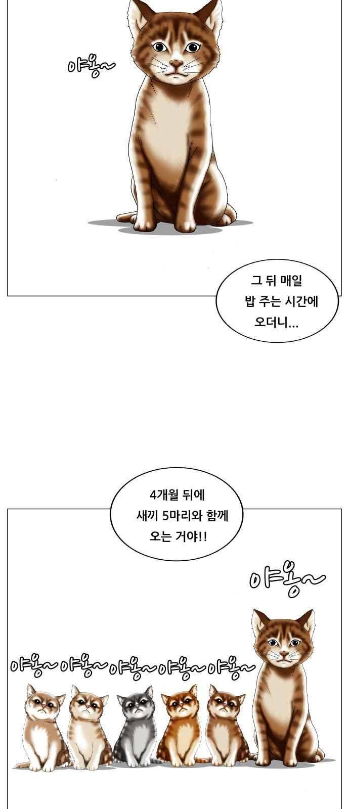 최강전설 강해효 (250) 21