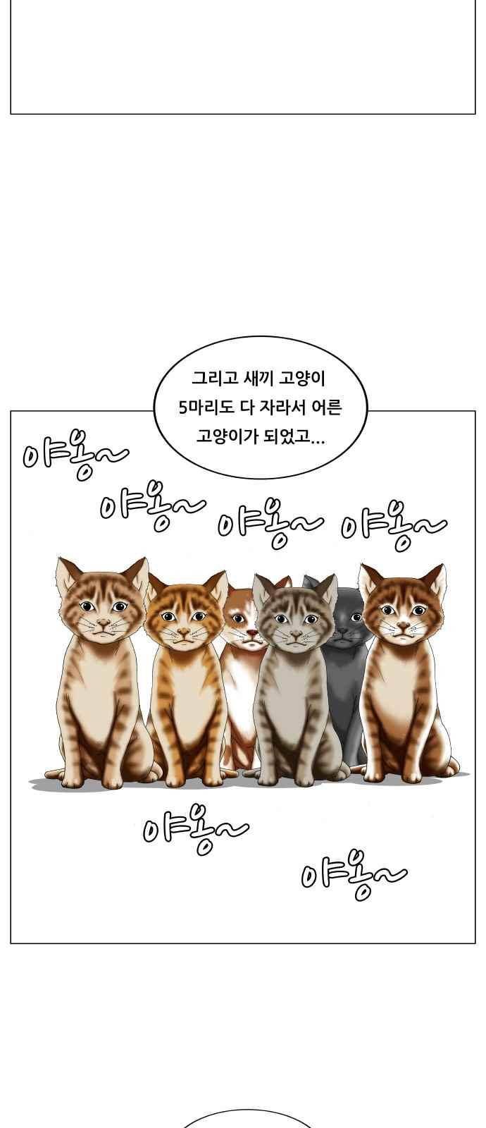 최강전설 강해효 (250) 22