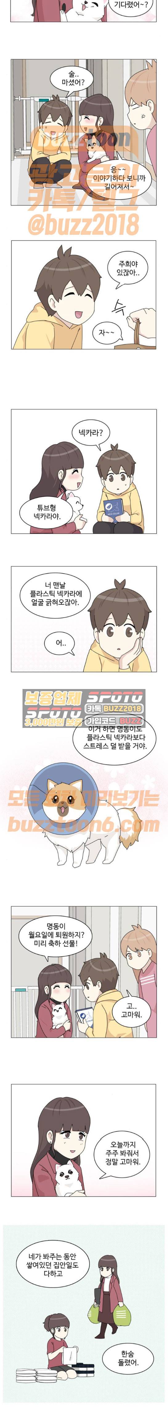 개를 낳았다 49화 2