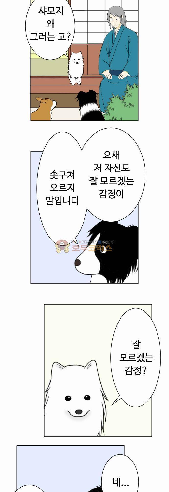 화이트 포메 19화 - 여자의 마음 2