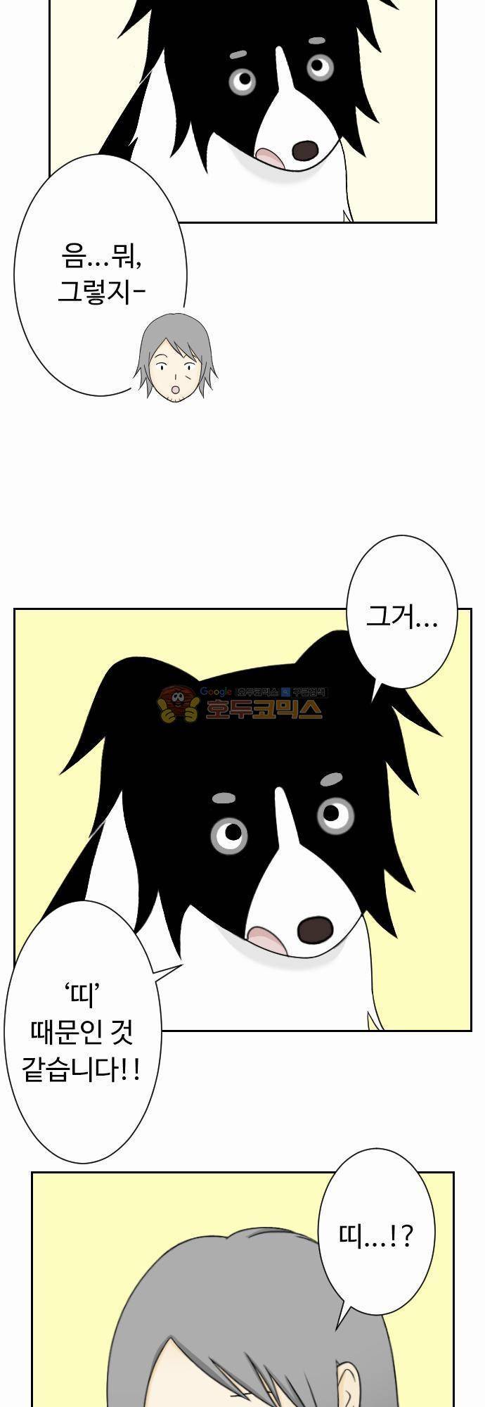 화이트 포메 51화 - 띠 3