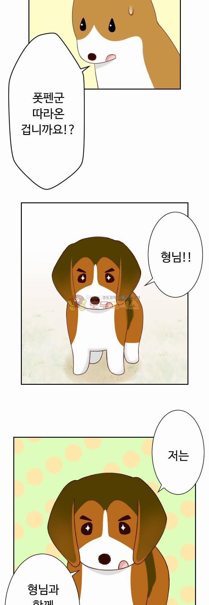 화이트 포메 70화 - 동생 3