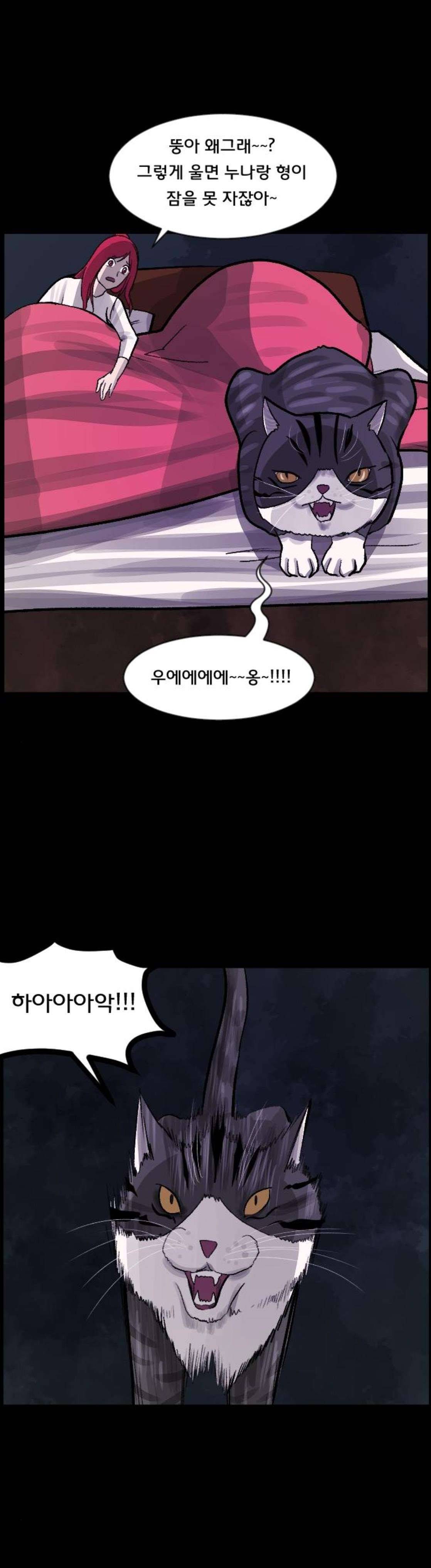 원주민 공포만화(네이버) 99화 - 신혼집 8
