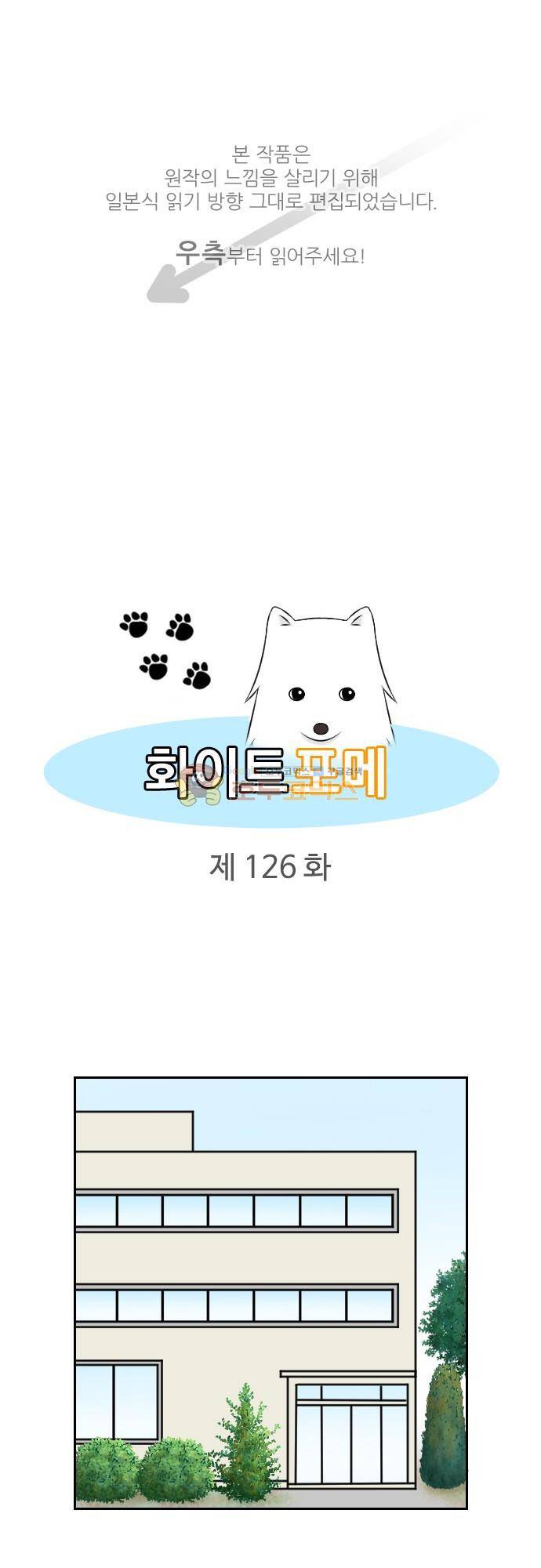화이트 포메 126화 - 회의 1