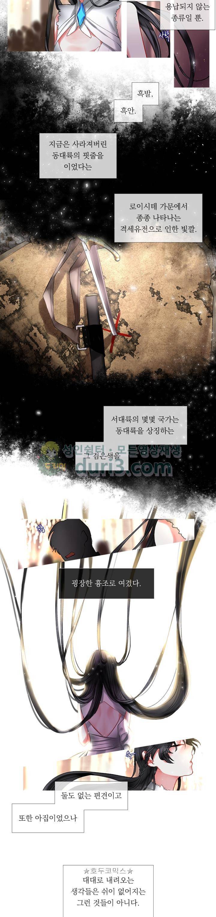 은의 공녀, 까마귀 공녀 1화 - 로이시테와 카사블랑카 (1) 13