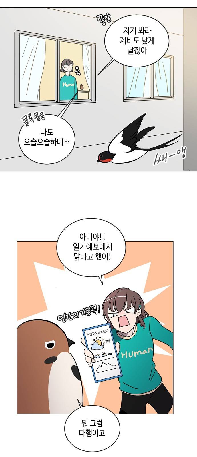 참새는 새!신부 14화 3