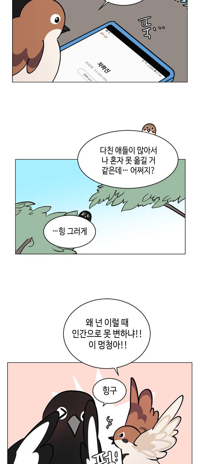참새는 새!신부 44화 5
