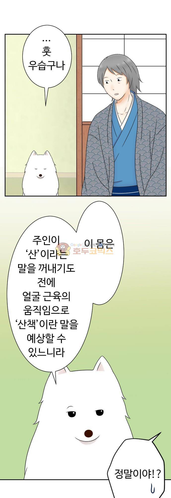 화이트 포메 169화 - 산책 외 3