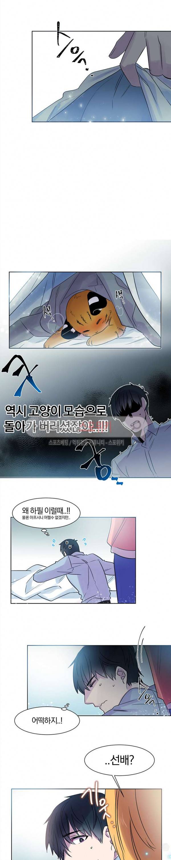 골판지 상자 안 고양이씨 8화 5