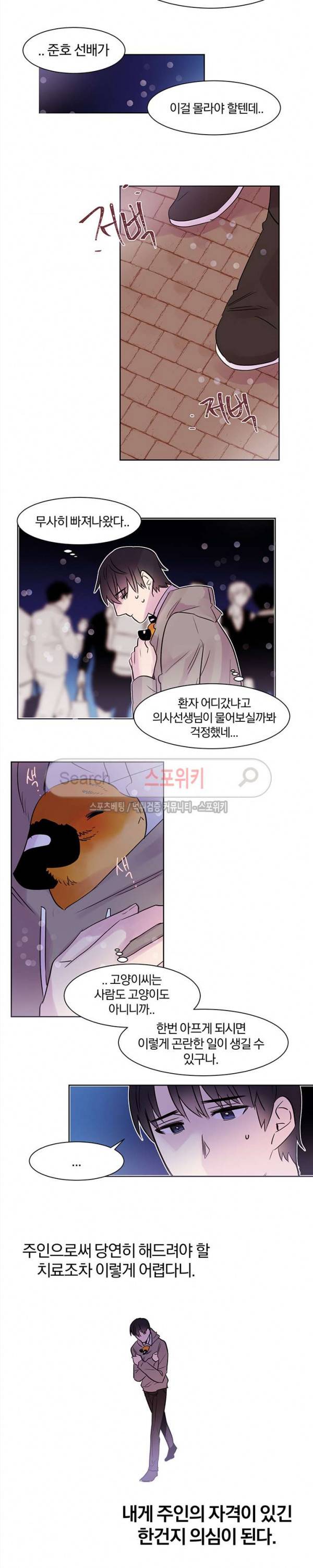 골판지 상자 안 고양이씨 8화 10