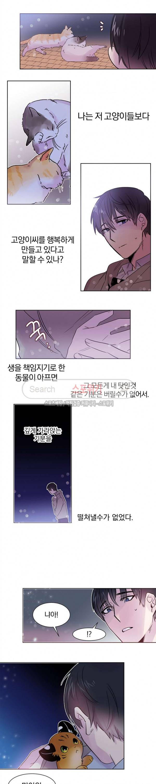 골판지 상자 안 고양이씨 8화 11
