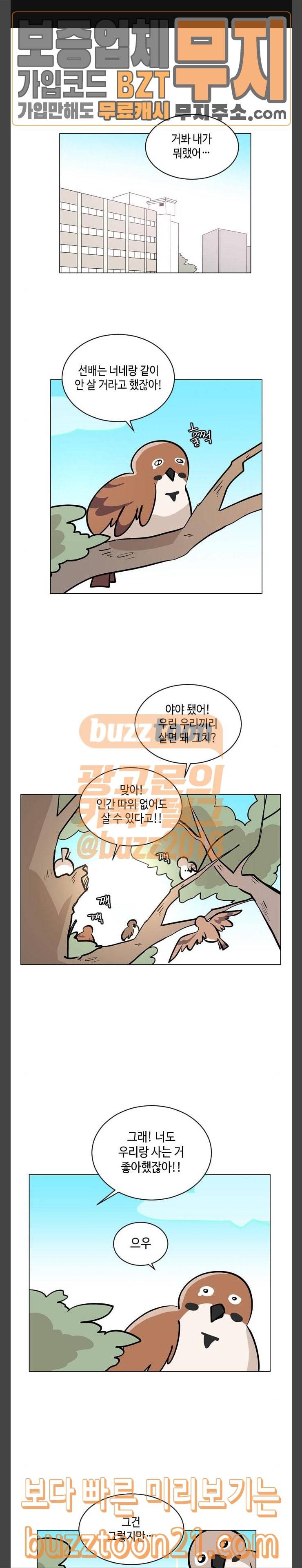 참새는 새!신부 72화 1