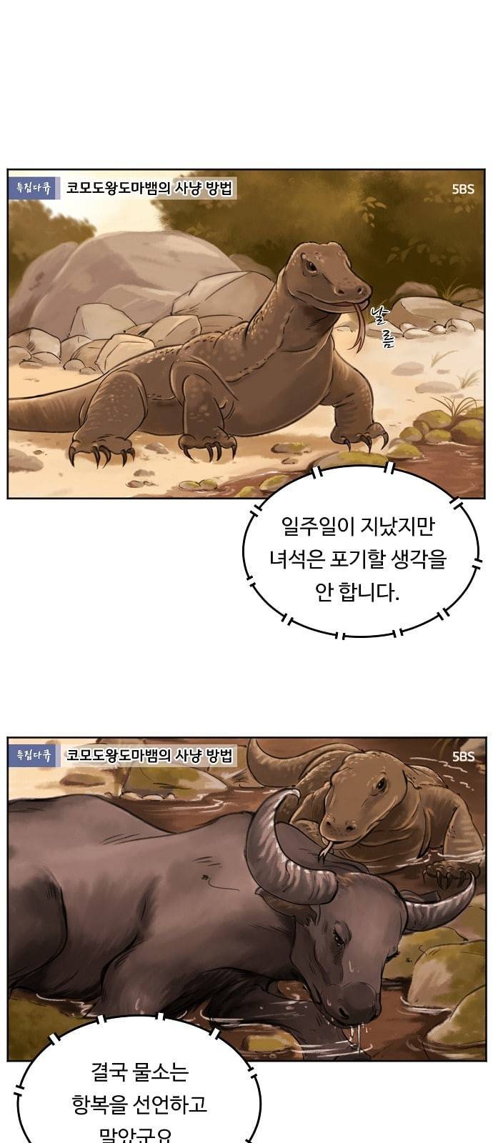 어쩐지 수상하더라 4화 1