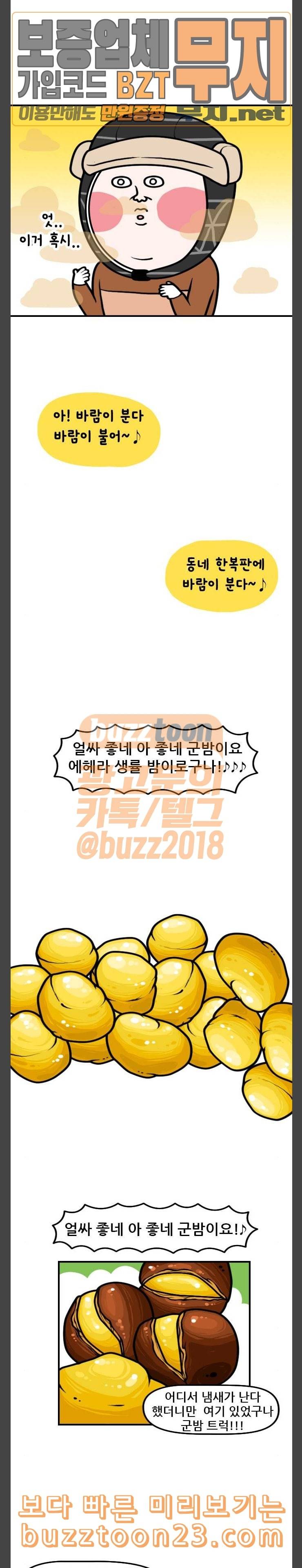 웅이는 배고파 126 산책하러 왔다가 군밤팔고 가지요 5