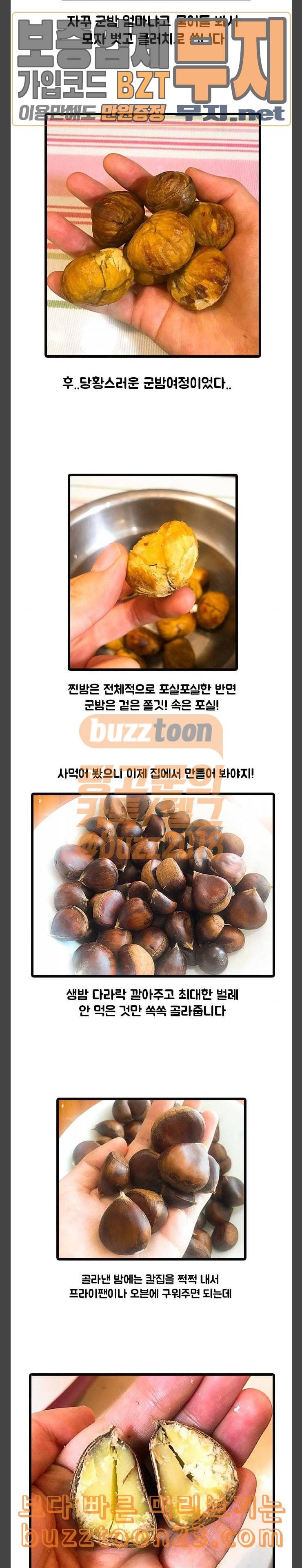 웅이는 배고파 126 산책하러 왔다가 군밤팔고 가지요 9