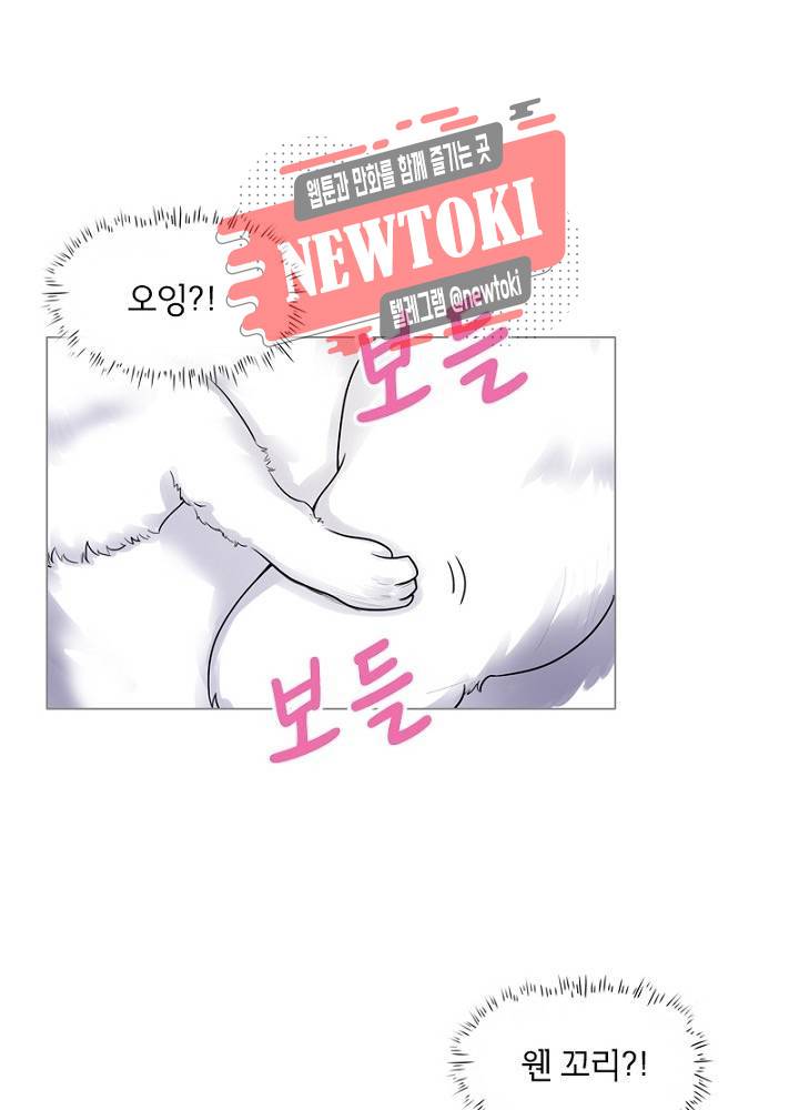 황비는 여우해  1화 5