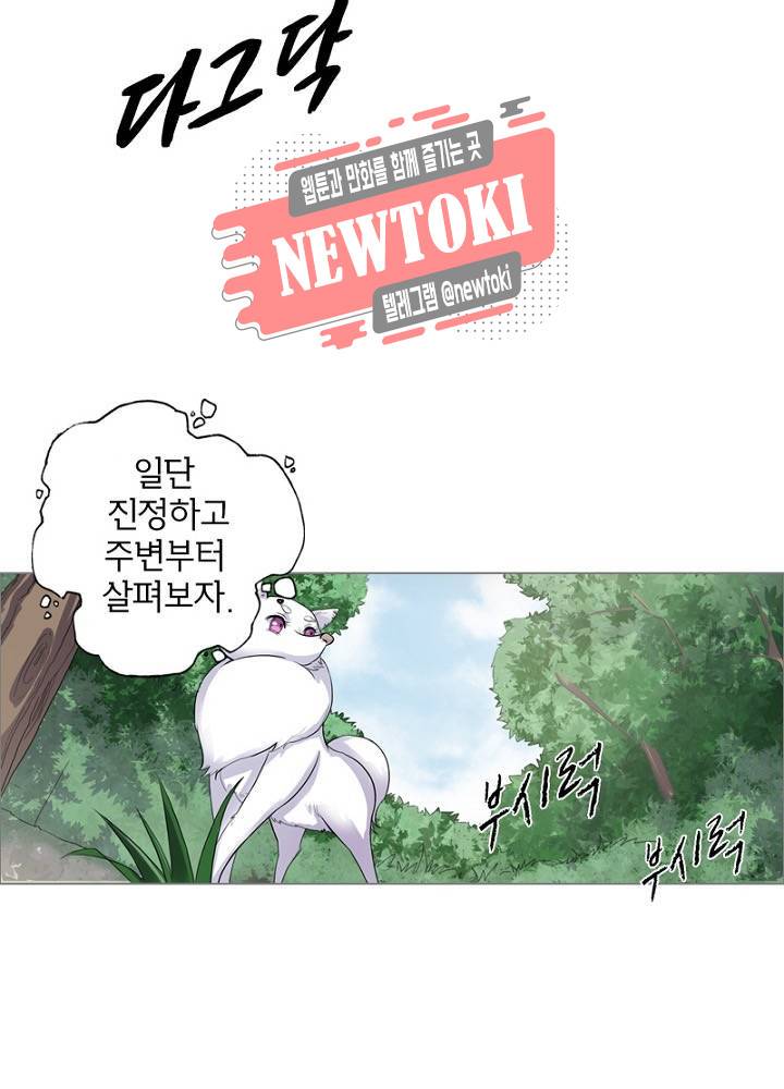 황비는 여우해  1화 21