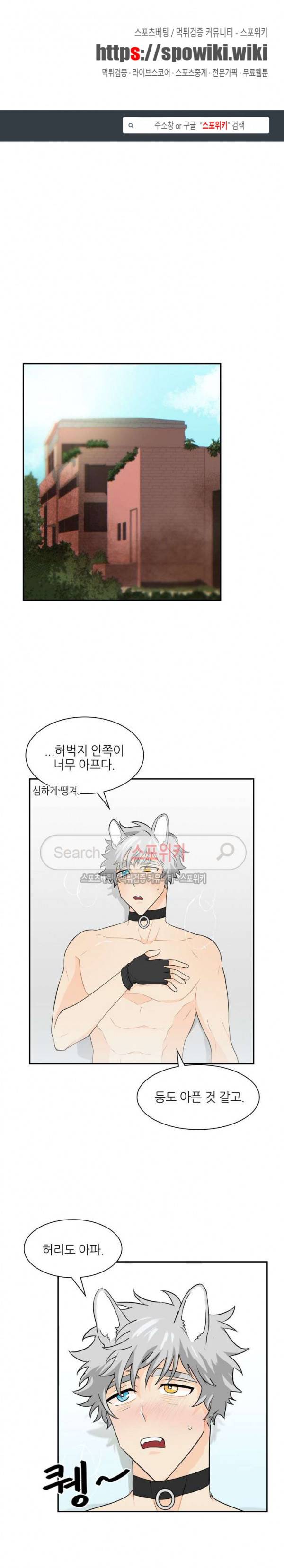 동물의 왕국 시즌2 11화 1
