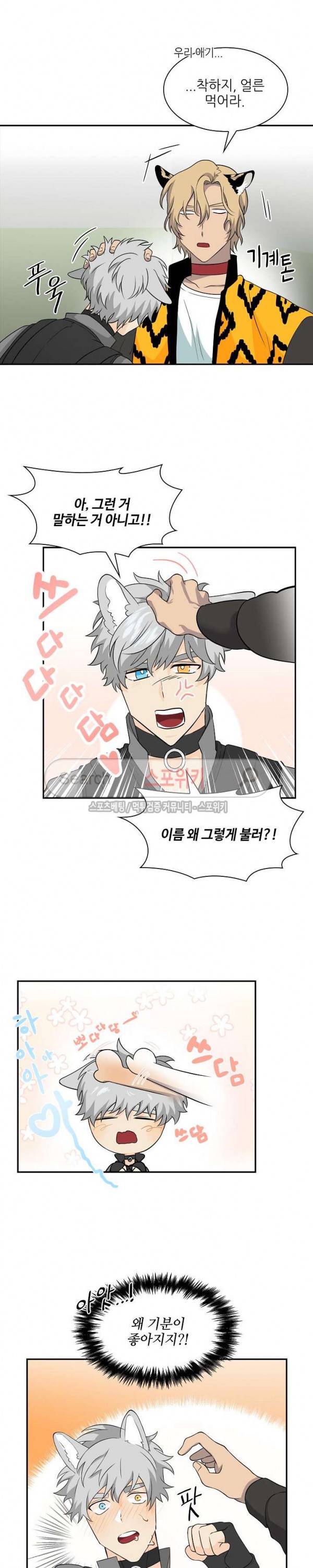 동물의 왕국 시즌2 12화 8