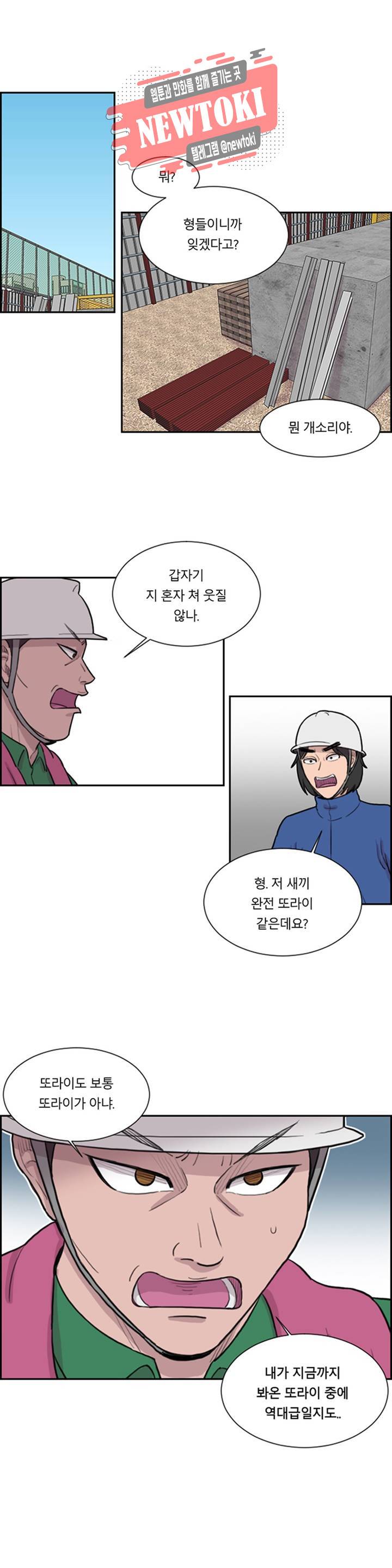 수컷의 경우 50화 1