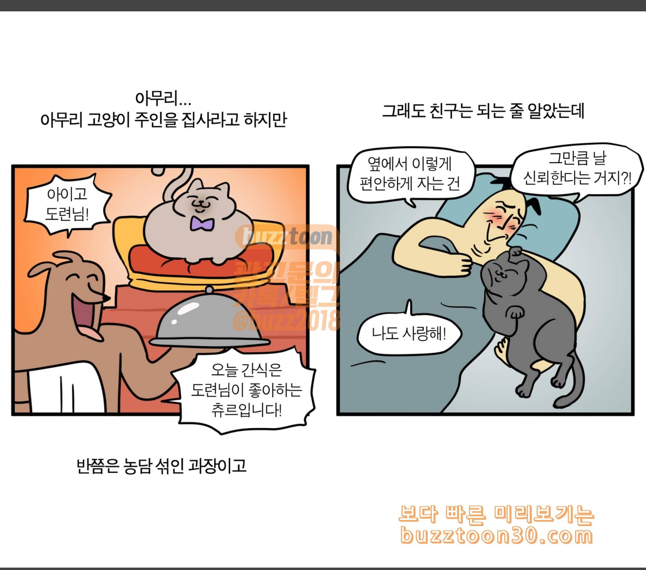 모죠의 일지 리틀죠의 습격 7