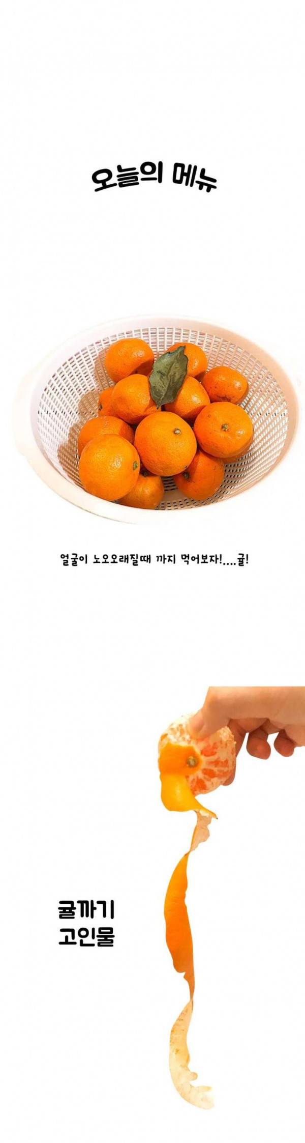 웅이는 배고파 137 귤이 너무 많아요 15