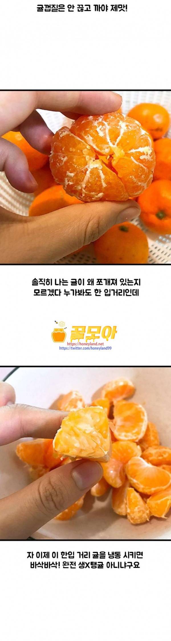 웅이는 배고파 137 귤이 너무 많아요 16