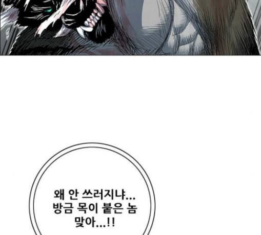 호랑이형님 2부 167화 그날 거인들의 사투 6 54