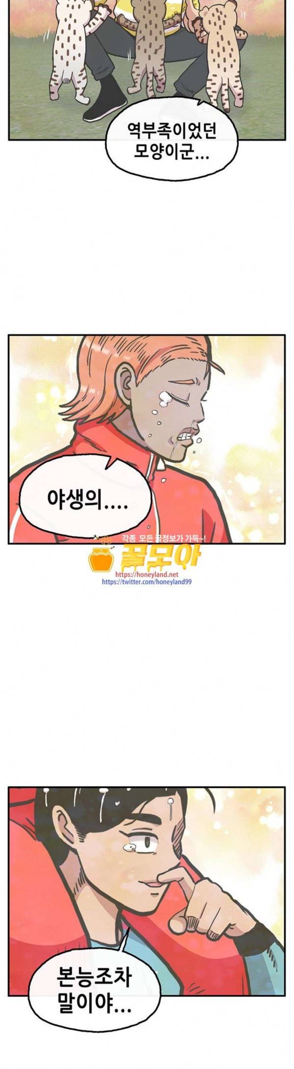 만물의 영장 37화 36
