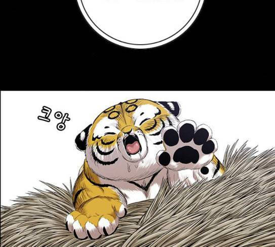 호랑이형님 2부 169화 물러서지 못함으로 163