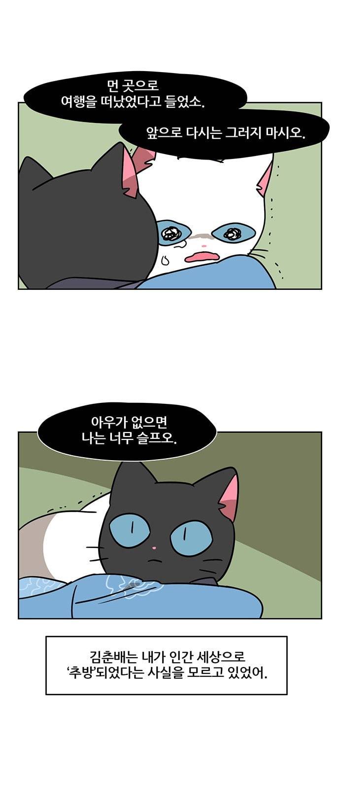 냐한남자 102화 2