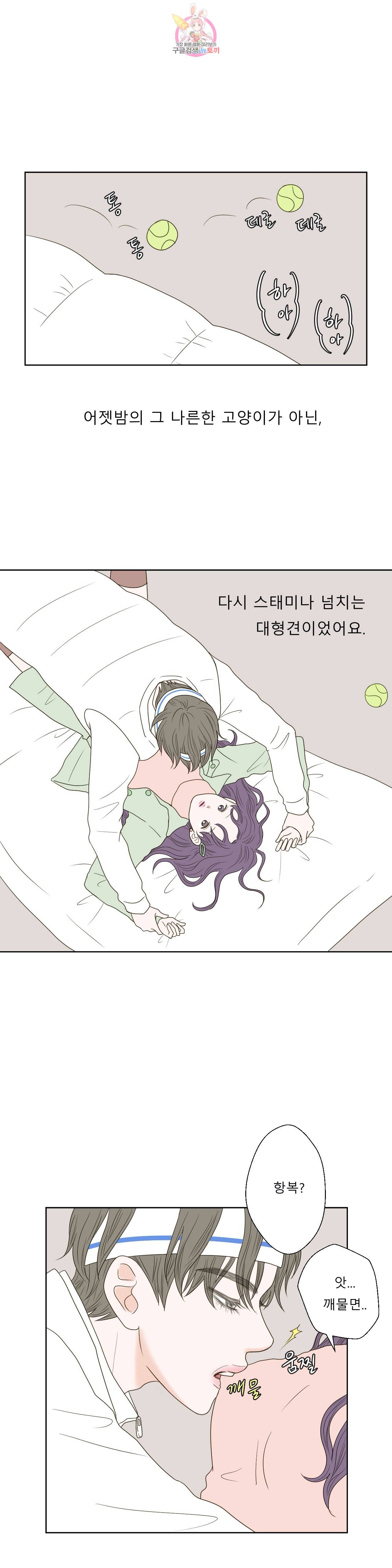허니 베드톡 48화 개같은 남자 고양이같은 남자 (3) 3
