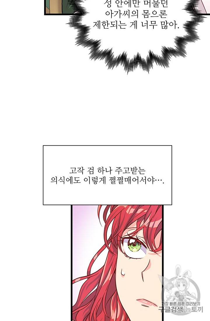 프리실라의 결혼 의뢰 29화 47