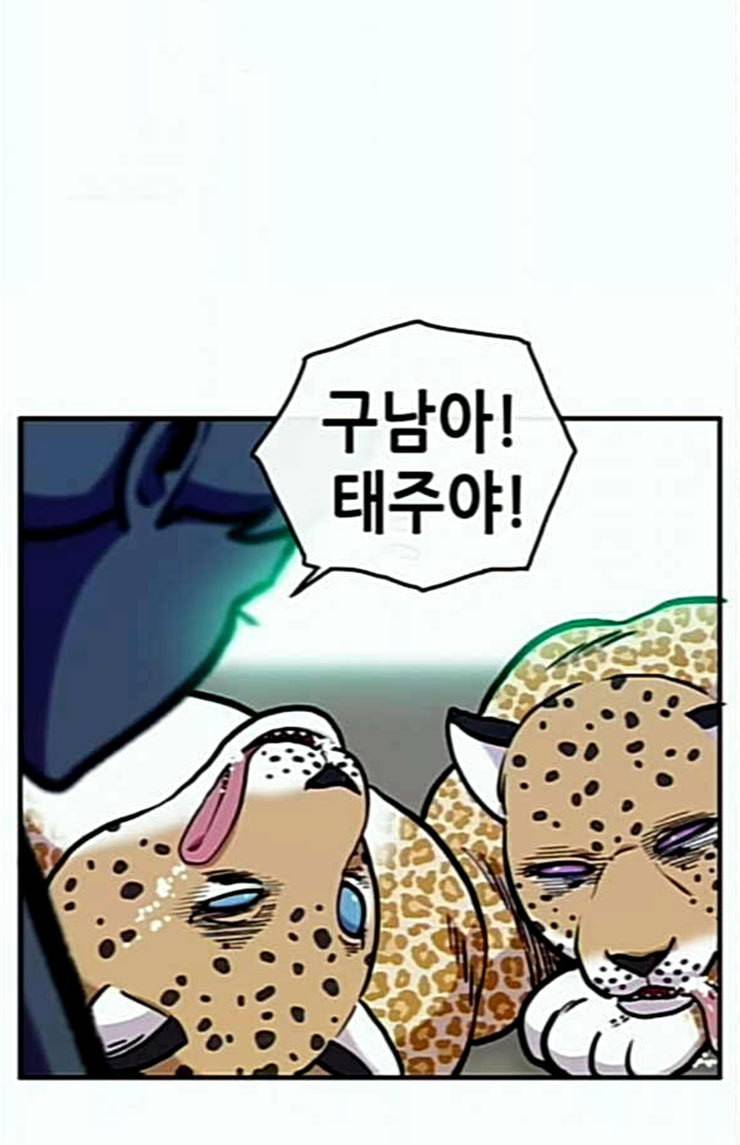 만물의 영장 42화 표범 탈출사건 1 12