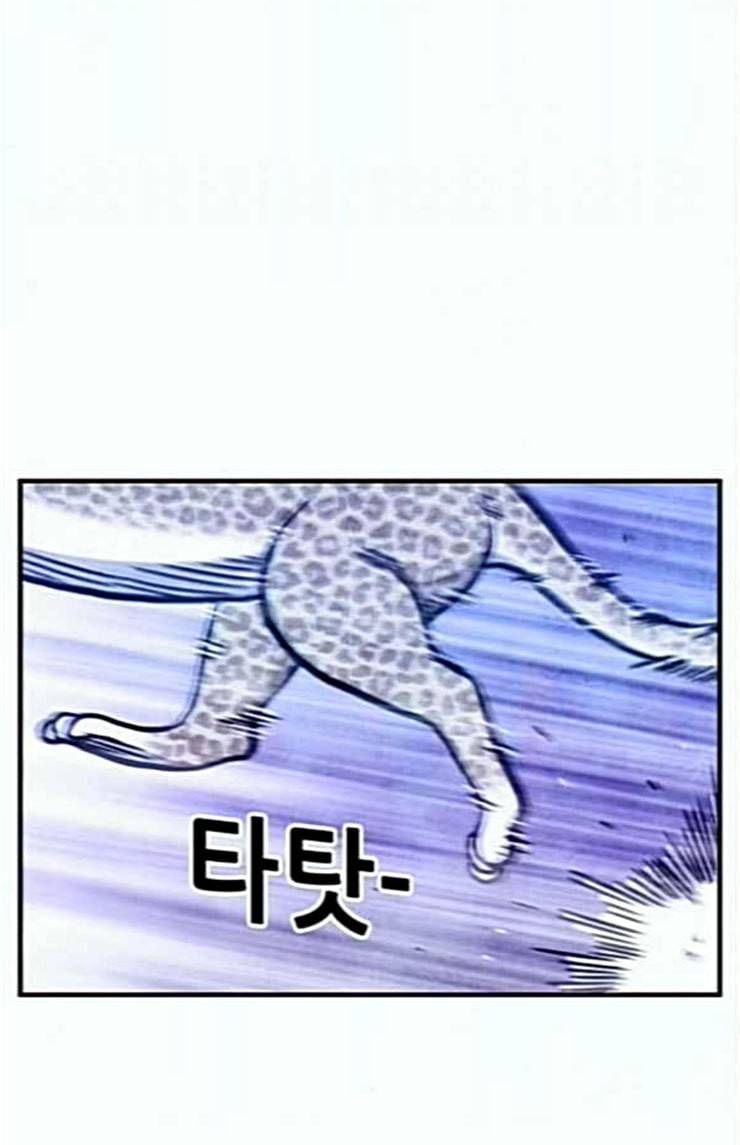 만물의 영장 42화 표범 탈출사건 1 16