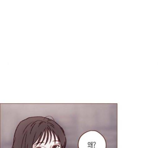 홍시는 날 좋아해 113화 니가 궁금해하는 그 애 이름 38