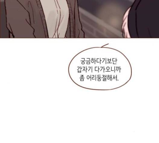 홍시는 날 좋아해 113화 니가 궁금해하는 그 애 이름 51