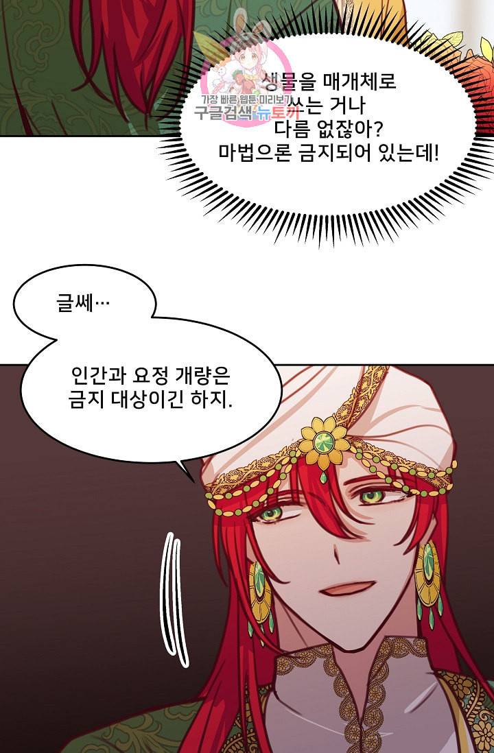 램프의 아미나 12화 12